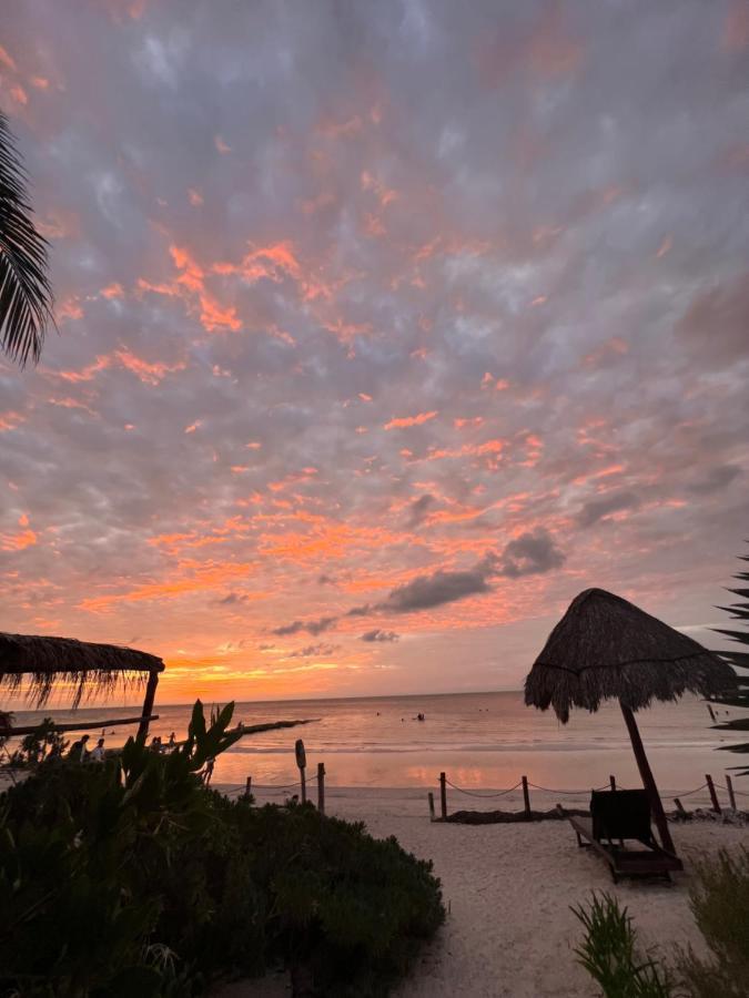 Casa Tom Tom - Adults Only Bed and Breakfast Isla Holbox Εξωτερικό φωτογραφία