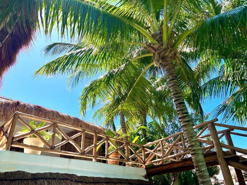 Casa Tom Tom - Adults Only Bed and Breakfast Isla Holbox Εξωτερικό φωτογραφία